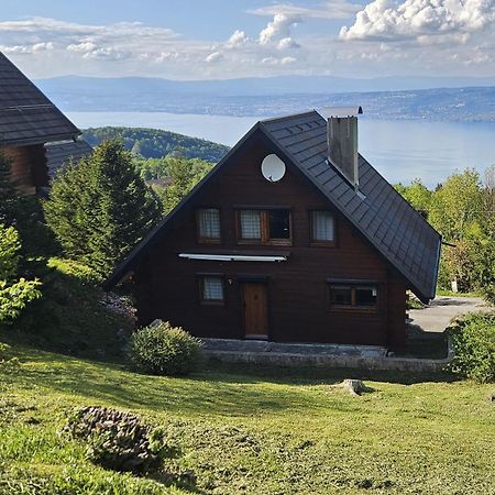 Chalet Les Alpages Vue Panoramique Sur Le Lac Leman Thollon-les-Memises エクステリア 写真