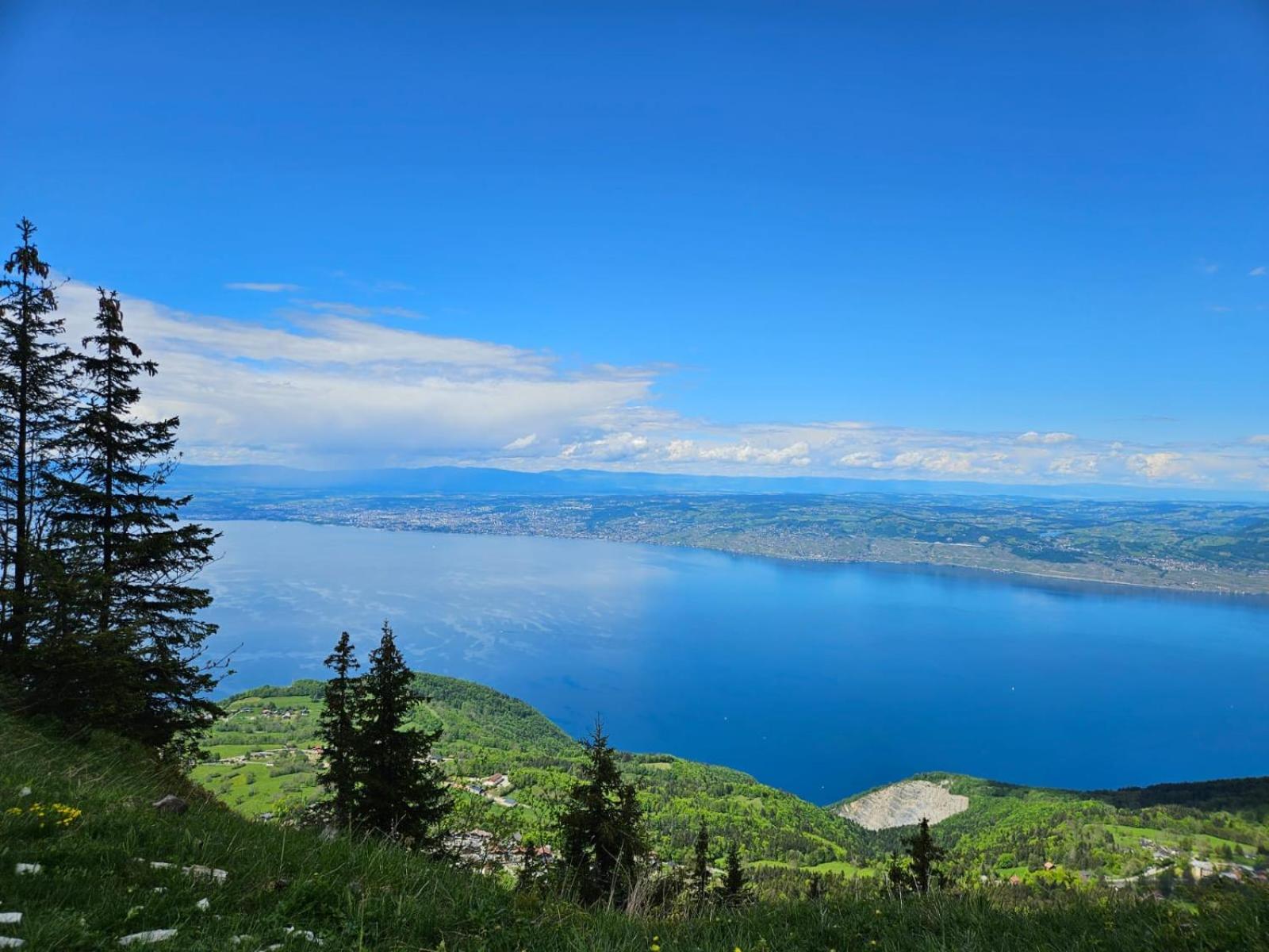 Chalet Les Alpages Vue Panoramique Sur Le Lac Leman Thollon-les-Memises エクステリア 写真