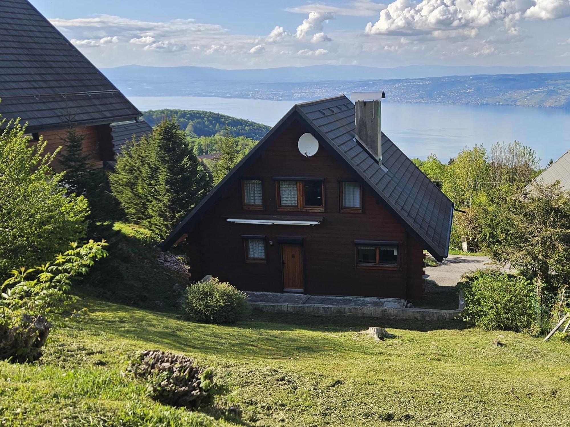 Chalet Les Alpages Vue Panoramique Sur Le Lac Leman Thollon-les-Memises エクステリア 写真